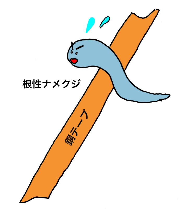 簡単 安全 衛生的で効果抜群 実際にナメクジ数100匹を飼って見つけたナメクジの侵入防止法 走るエンジの運動会