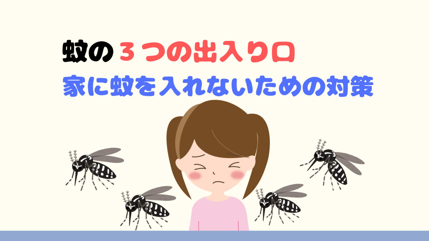 家の中にいる蚊はどこから入ってきたのだろう 蚊の出入り口を知り 対策することで蚊のいない夏を過ごしましょう 走る園児 エンジニア の運動会